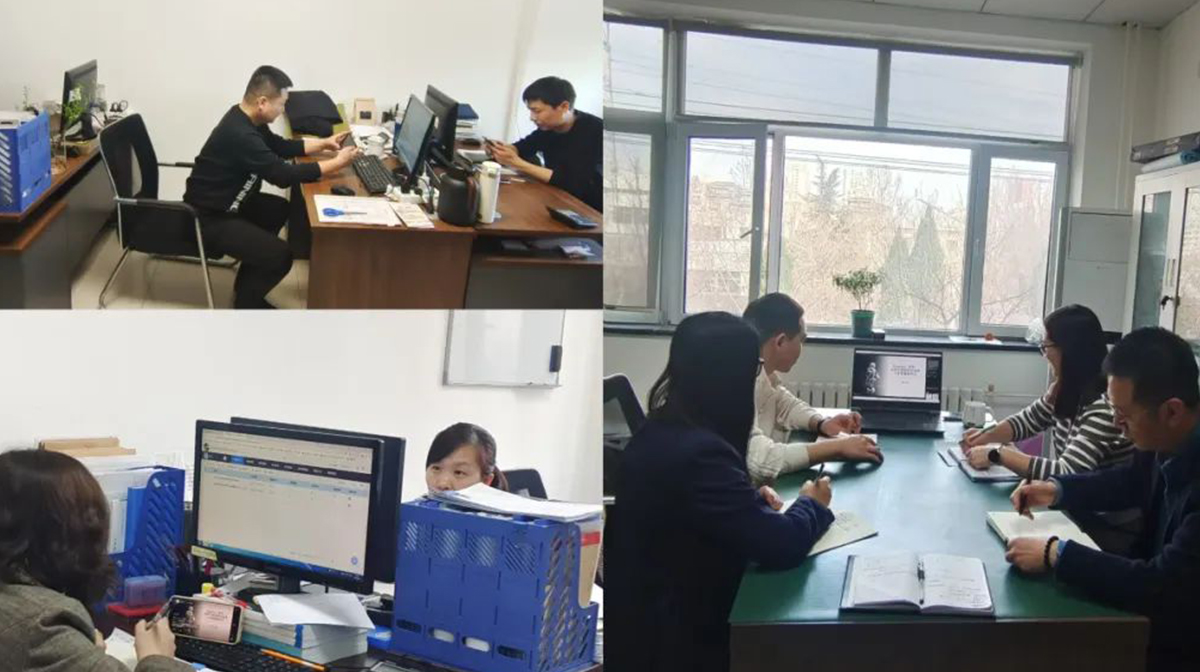 盛鸿国际(中国区) - 官方网站
