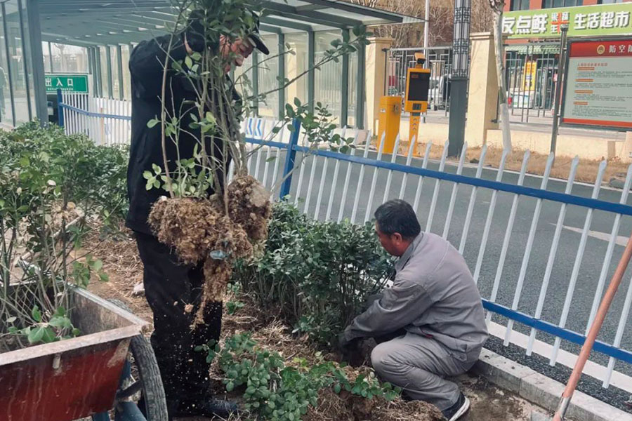 盛鸿国际(中国区) - 官方网站
